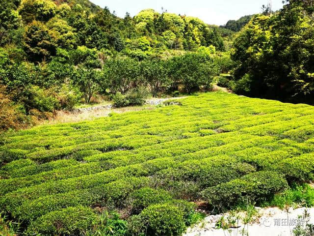 一条莆田最美的山间公路