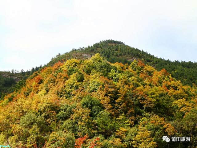 一条莆田最美的山间公路