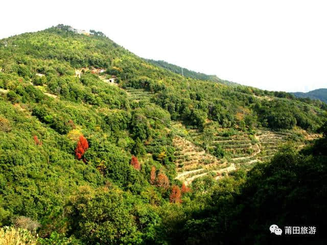 一条莆田最美的山间公路