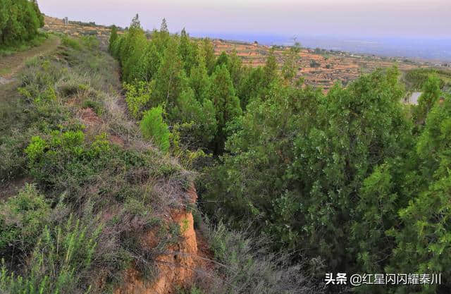 探访礼泉武将山唐建陵-----原来这里埋葬着这么曲折的故事