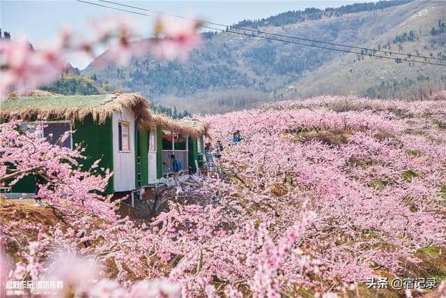 宿州萧县沈峪桃花坞