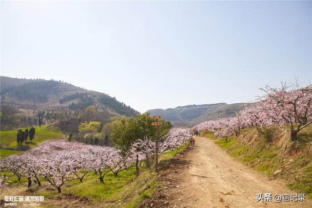 宿州萧县沈峪桃花坞