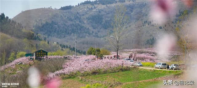 宿州萧县沈峪桃花坞