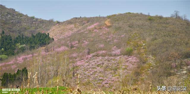 宿州萧县沈峪桃花坞