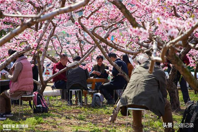 宿州萧县沈峪桃花坞