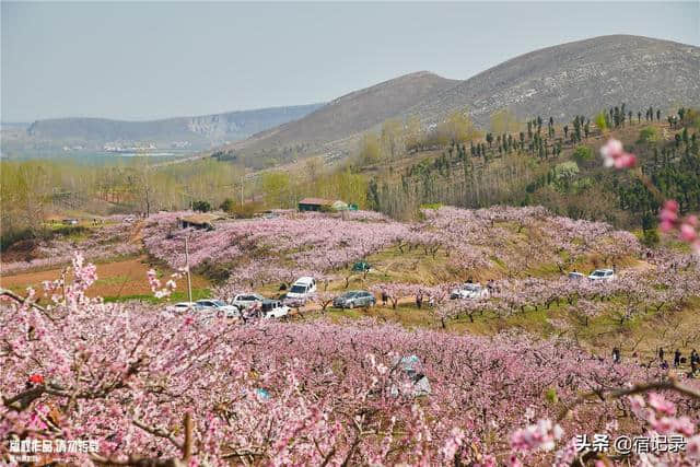 宿州萧县沈峪桃花坞