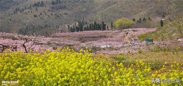 宿州萧县沈峪桃花坞