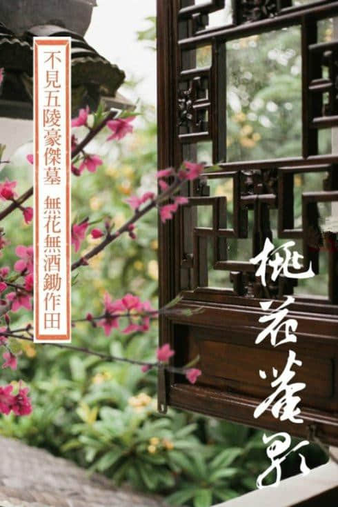 桃花坞里桃花庵，桃花庵里桃花仙——唐寅