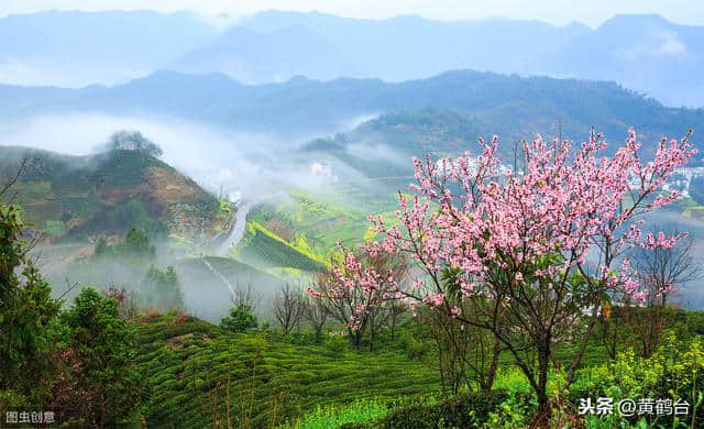 习作：桃花源