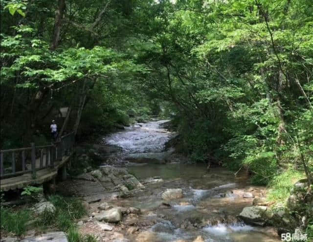 桃花溪小镇，天然的避暑康养胜地！