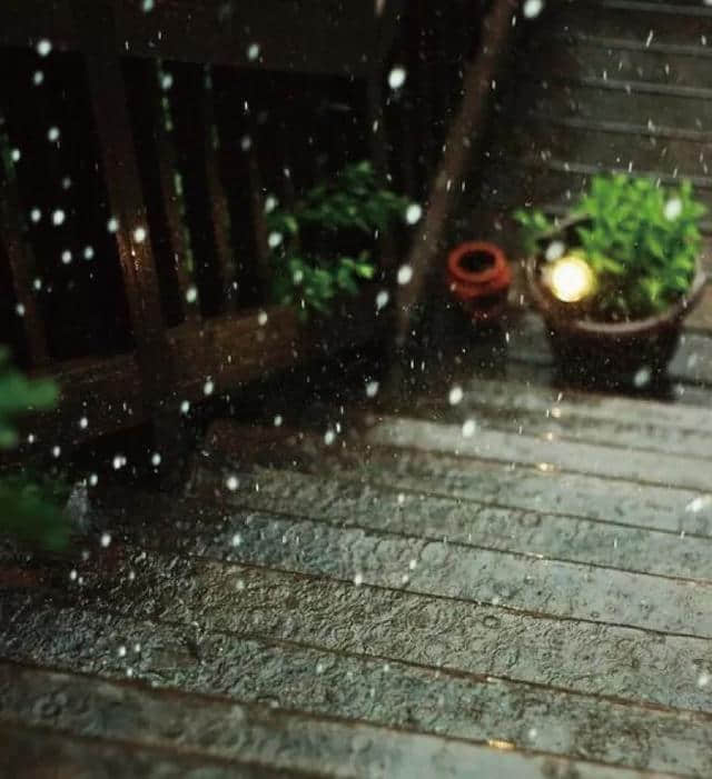 夜雨打芭蕉图片