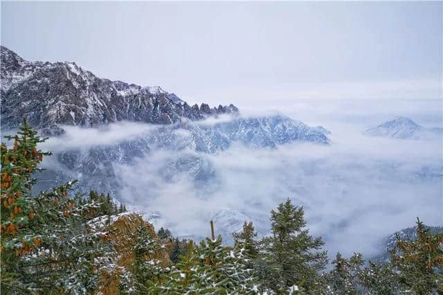 岁月里值得等待的美景，贺兰山上雪纷飞~