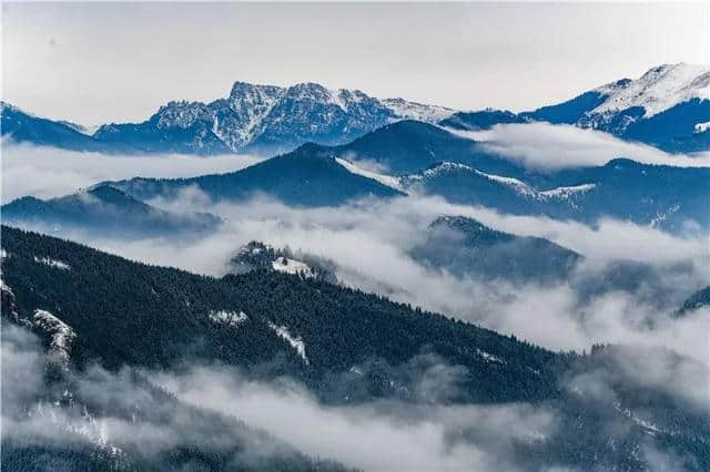 岁月里值得等待的美景，贺兰山上雪纷飞~