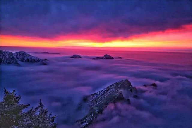 岁月里值得等待的美景，贺兰山上雪纷飞~