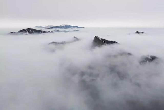 岁月里值得等待的美景，贺兰山上雪纷飞~