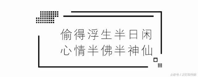 上海普陀私藏了一座“绝美古镇”，乘地铁就能直达！