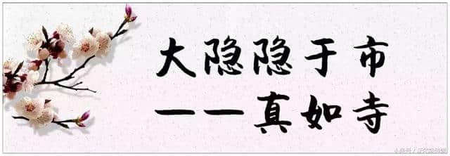 上海普陀私藏了一座“绝美古镇”，乘地铁就能直达！