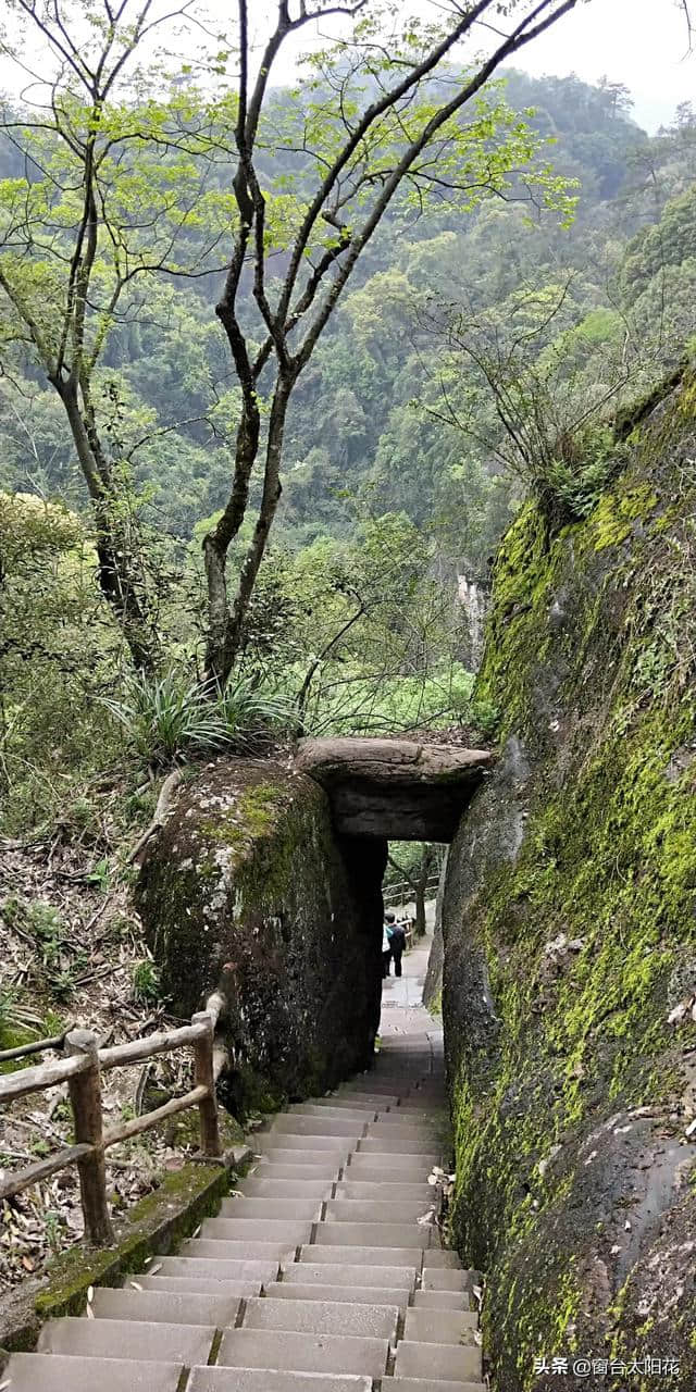 独自穷游～福建行（永安桃源洞，鳞隐石林）