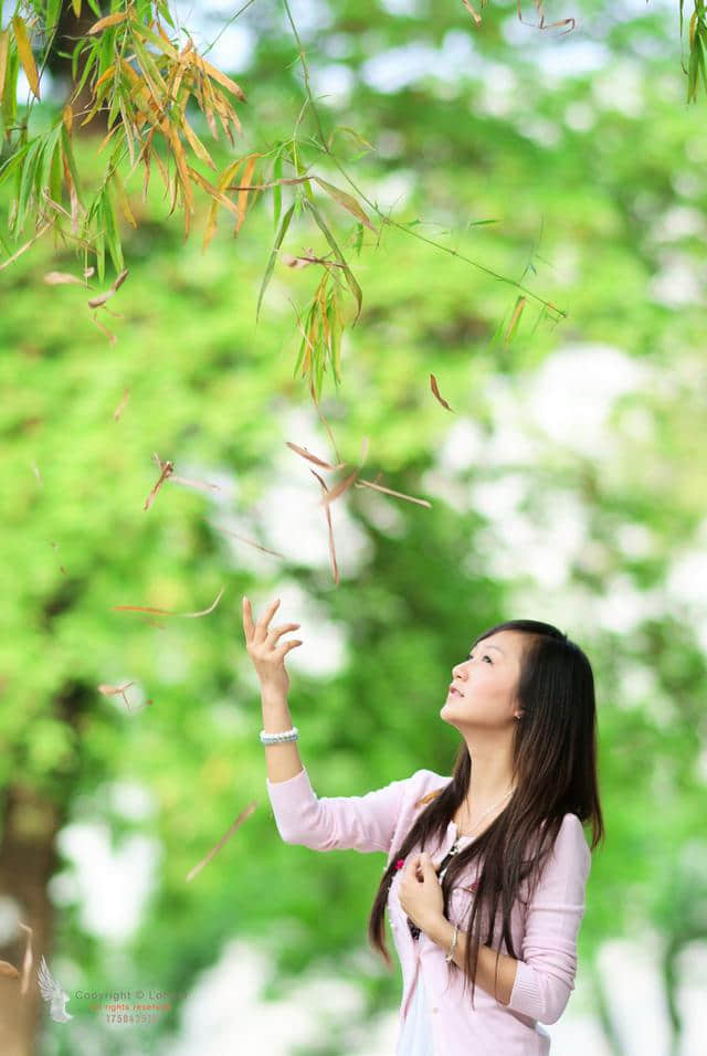 醉花荫，美人醉