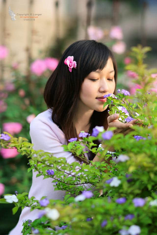 醉花荫，美人醉