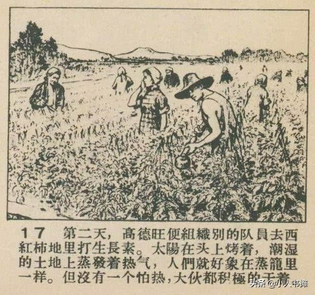 大菊和二菊-选自1957年11月《连环画报》第二十二期 张白羽 绘