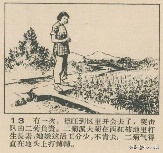 大菊和二菊-选自1957年11月《连环画报》第二十二期 张白羽 绘