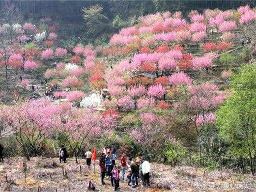 福建经济最富和最穷的地级市