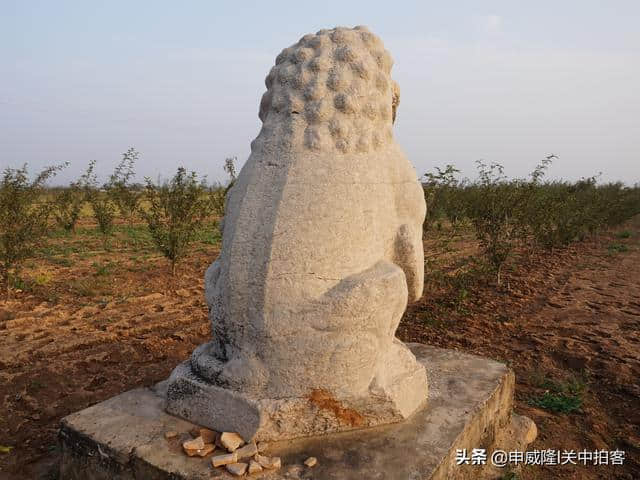 唐穆宗光陵：神道石刻，散落田野