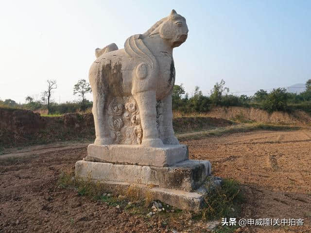 唐穆宗光陵：神道石刻，散落田野