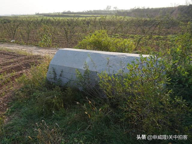 唐穆宗光陵：神道石刻，散落田野