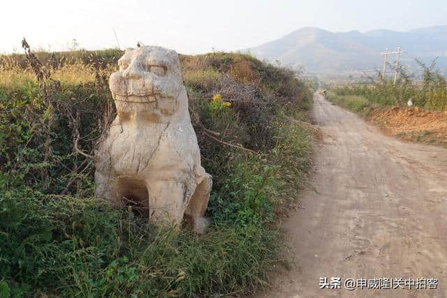 唐穆宗光陵：神道石刻，散落田野