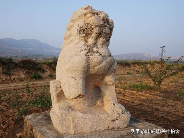 唐穆宗光陵：神道石刻，散落田野