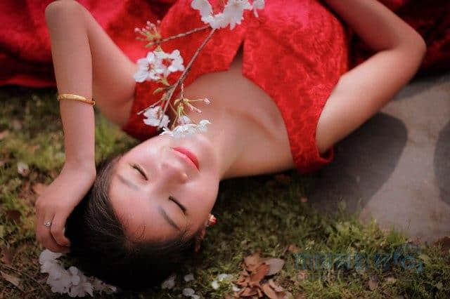 花开花落美人醉