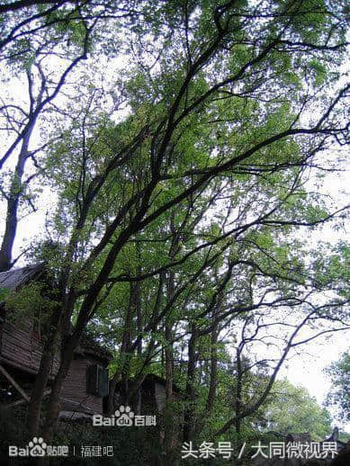 福建第一大山！武夷山