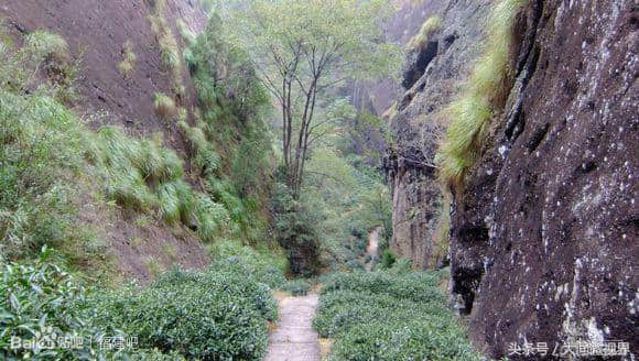 福建第一大山！武夷山