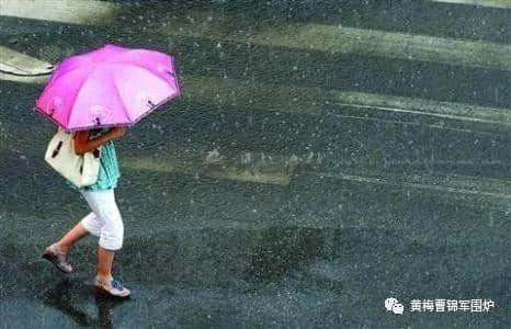 唐亚红：梅子黄时雨