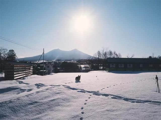 日本的归田园居，这家人把这里的四季都藏进了家里