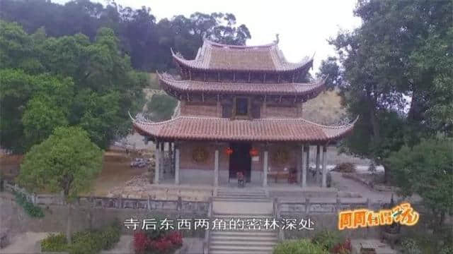 五月炎热未到，时光正好，来感受下千年古刹广化寺...