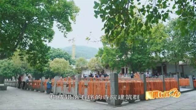 五月炎热未到，时光正好，来感受下千年古刹广化寺...