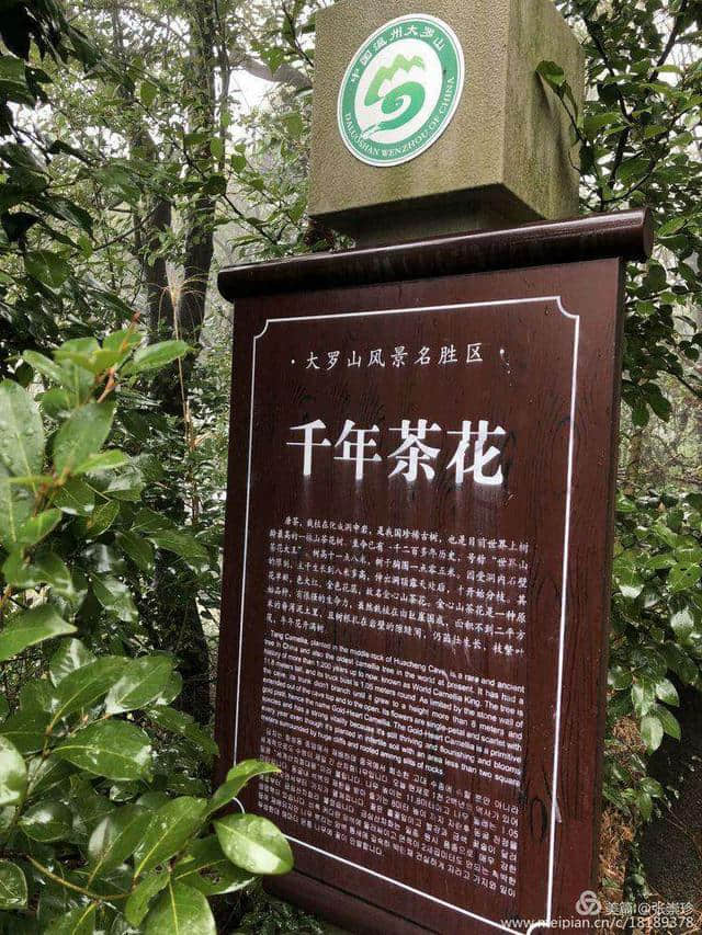 三潭二洞一天湖，魅力仙岩邀你来