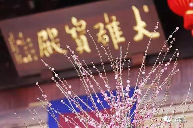 首次推荐！金华版“千岛湖”湖畔千株梅花已经盛开，鲜为人知，赏梅约起……