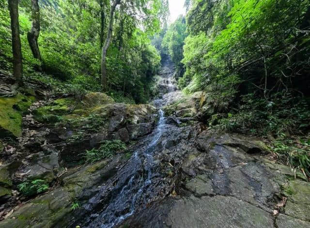 三明人 “环闽”动车下月5号开跑！沿途风景抢先看~