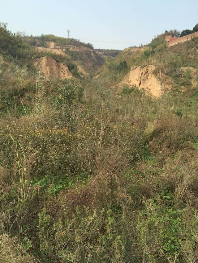 大山深处的宁静，兴平广福寺