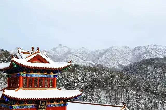 里口山中广福寺—雪景都是那么的禅意