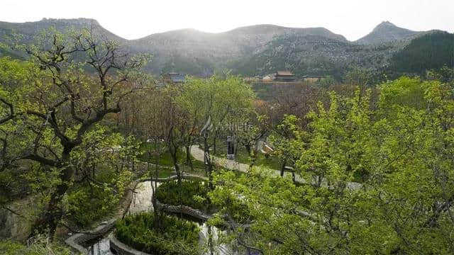 魅力青州 走进广福寺