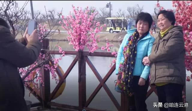 梅花开了！连云港这里美爆了，人少景美速去！