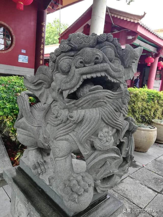 杜鹃花开的季节----雨中游同安梵天寺、梅山寺