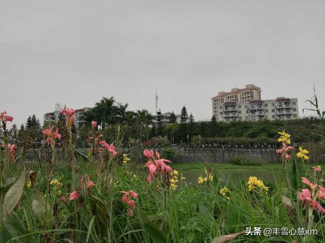 杜鹃花开的季节----雨中游同安梵天寺、梅山寺