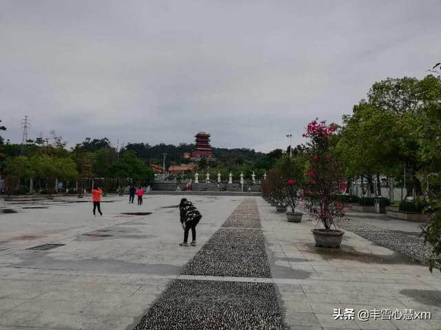 杜鹃花开的季节----雨中游同安梵天寺、梅山寺