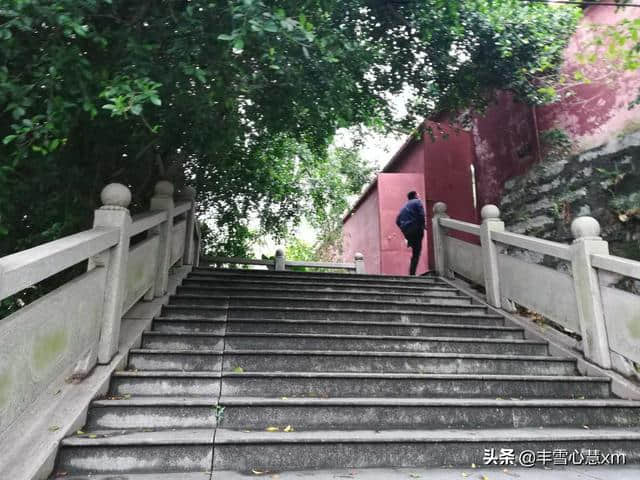 杜鹃花开的季节----雨中游同安梵天寺、梅山寺